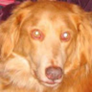 Meet your Posher, Lydia